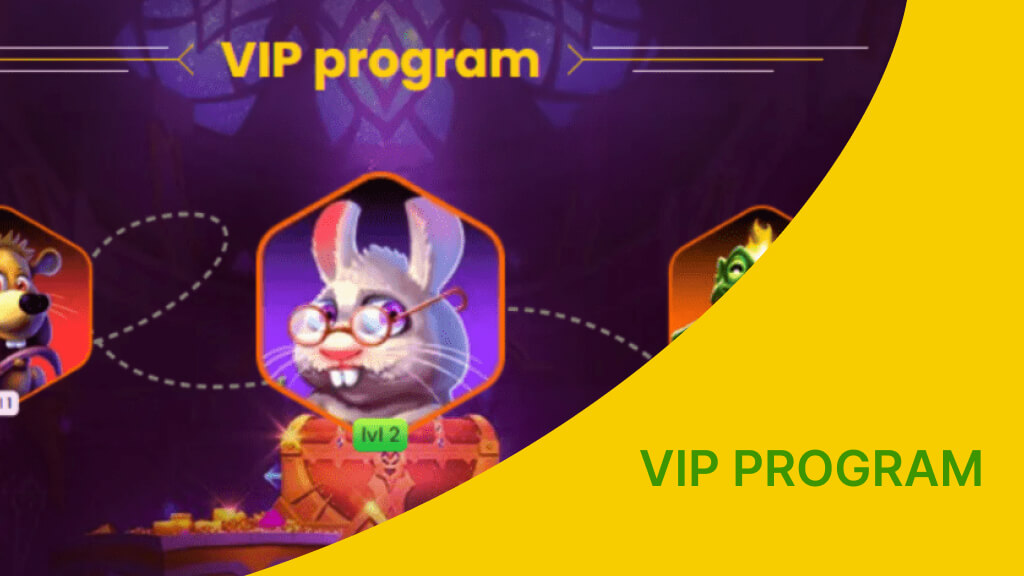 Bizzo casino VIP program